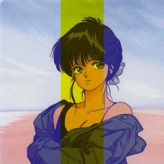 Vaporwave is... / リサイクルされたソフトウェア