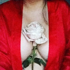 my body / a rose garden