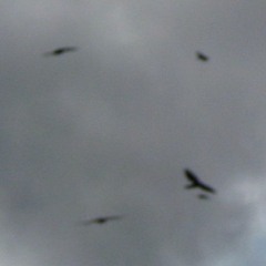 Bloody Revenge (unreleased 2015 bonus track)