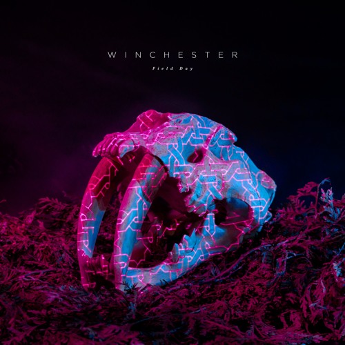 W I N C H E S T E R - Field Day
