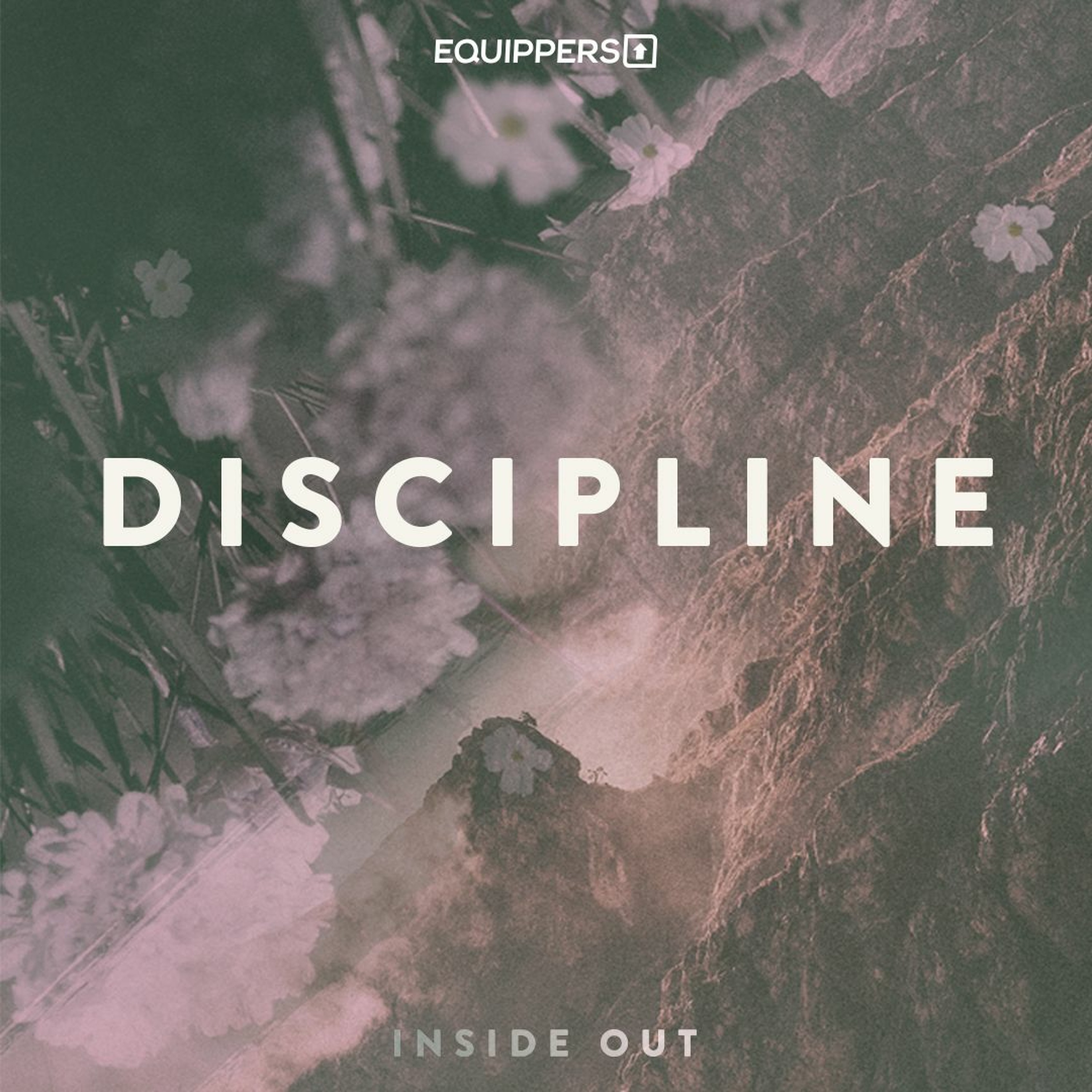 Panel Talk On Discipline episode artwork