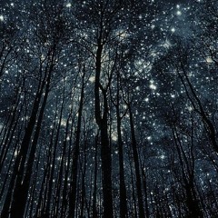 Hans Zimmer - The Organ Of Davy Jones