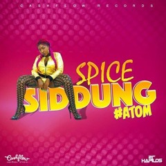 Spice - Siddung (DJ i-Tek Extended Intro) [FREE DOWNLOAD]