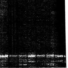 Possession (Demo)