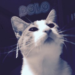 DOLO