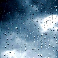 Rainy Daze