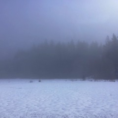 We Are Not Going To Be Ok, But We Are Going To Survive