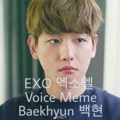 EXO 엑소엘 Voice Meme-Baekhyun 백현
