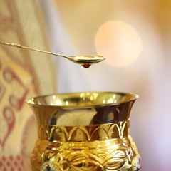 Let us attend part 10- Confession, Communion and Dismissal- Fr Michael Salib