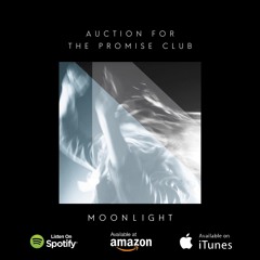 Moonlight by Auction for the Promise Club