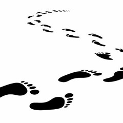 Noise's Footprints