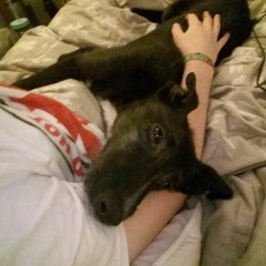 Rest in Peace, Sonny