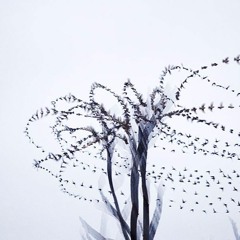 Tracks