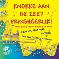 De Leegskes Van De Sjelde