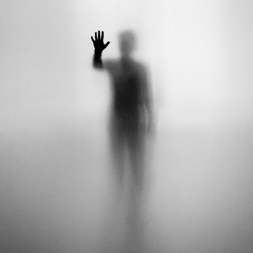 فـي ذمِّ الدنيا لأبو العتاهية | طه الصُّوري