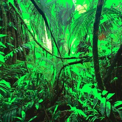 JUNGLE
