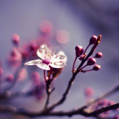 Impermanence is good news