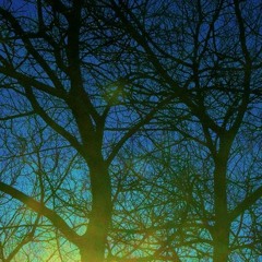 M.Row-Review(Poem by Owl Yeah)