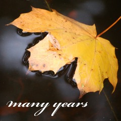 Many Years - the collaborations -