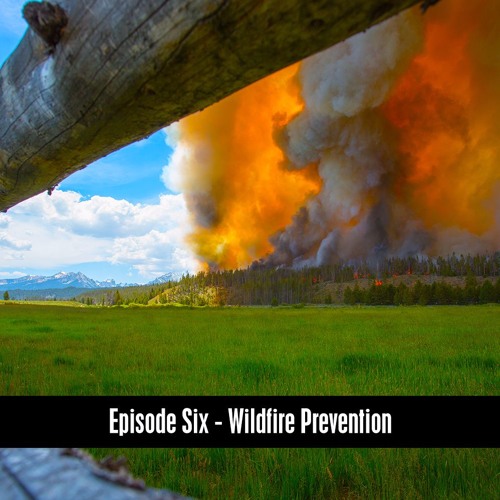 The D&B Show Episode Six - Wildfire Prevention