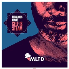 Demarkus Lewis - Self Is Steam (MLTD REMIX)