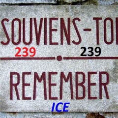 ICE-D Gotchains - Souviens Toi
