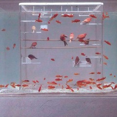 Real Quick Prod. By Big Will (Exclusives $80 !!!)