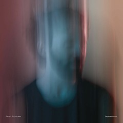 Peter Silberman - Ahimsa