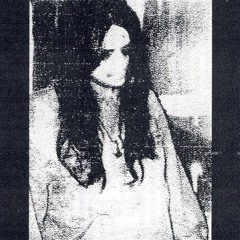 Bear Bones, Lay Low - Maximum Entropy