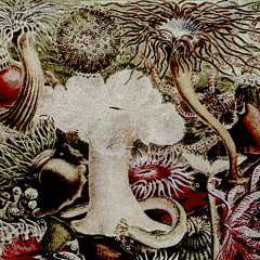 Turn To Tendrils