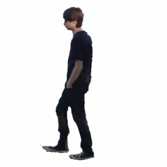 "Donald Trump Is Not My Führer" by Fall Children