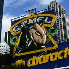 I Love The Taste Of A Camel Cigarette