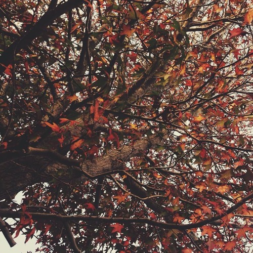 Old Promise(وعد قديم)