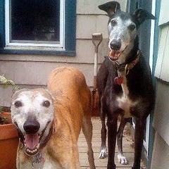 Philly Fresco + Frim Fram Freestyle on Tchaikovsky Pathetique Sampler Beat 2/13/17