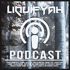 Liquifyah Podcast 011 (Hosted By Modify Perspective and Ill Truth)