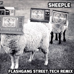 Sheeple (FlashGang Street Tech Remix)