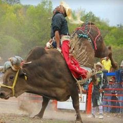 LAS MÁS PERRAS DEL JARIPEO