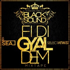 Fi Di Gyal Dem Mixtape By Twist & Dj Seal ( Black Sound )