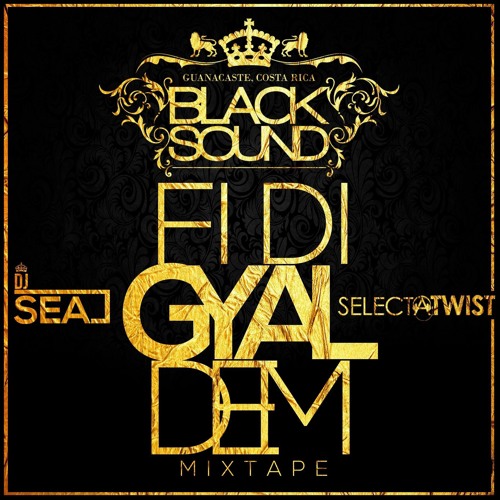 Fi Di Gyal Dem Mixtape By Twist & Dj Seal ( Black Sound )