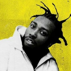 Ol Dirty Bastard - Brooklyn Zu (Remix)