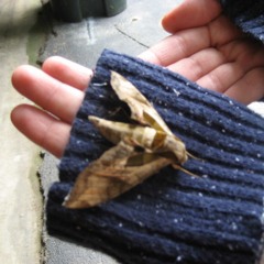 Panic! At The Disco - LA Devotee [Nightcore]