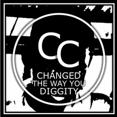 Changed The Way You Diggity (CC Remix)