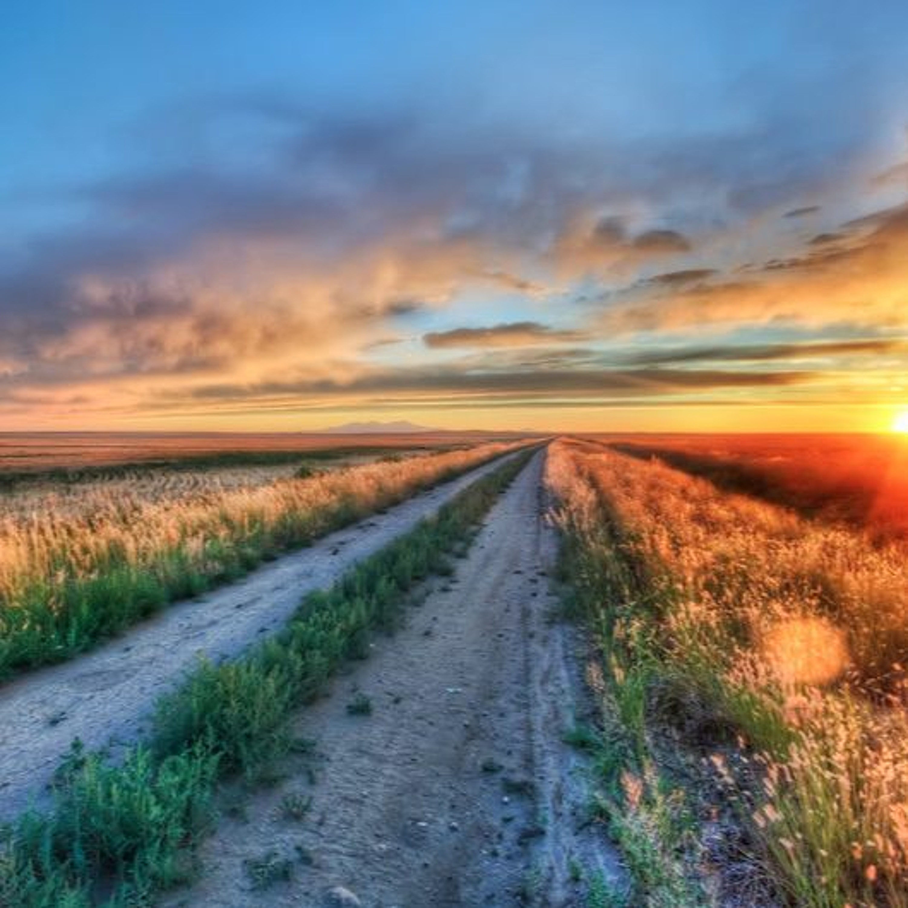 Joseph Michael Adams