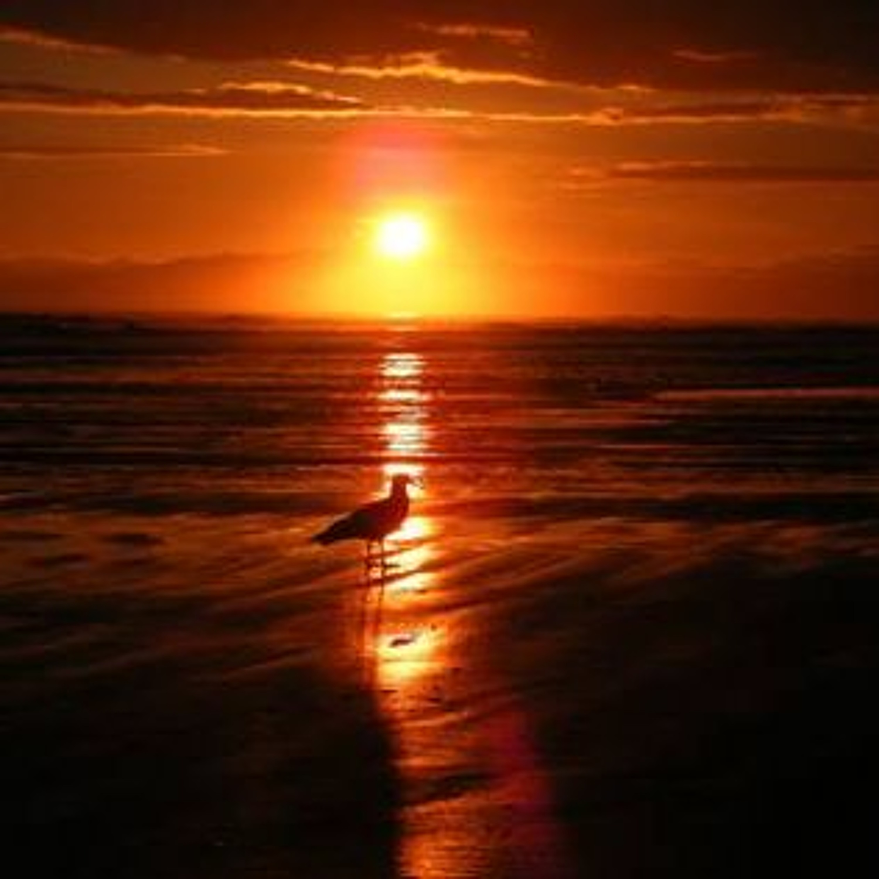 Joseph Michael Adams