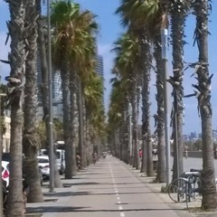 These Moments (Antoine Dufour Cover)