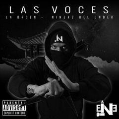 X. NinJutsu(Interludio)