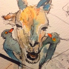 Foras1 [in_progress]