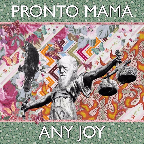 Bottom Feeder By Pronto Mama On Soundcloud Hear The World S Sounds