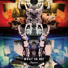 What So Not - Jaguar (LUCA LUSH LIFT)