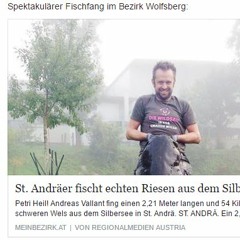 der hund (daily)